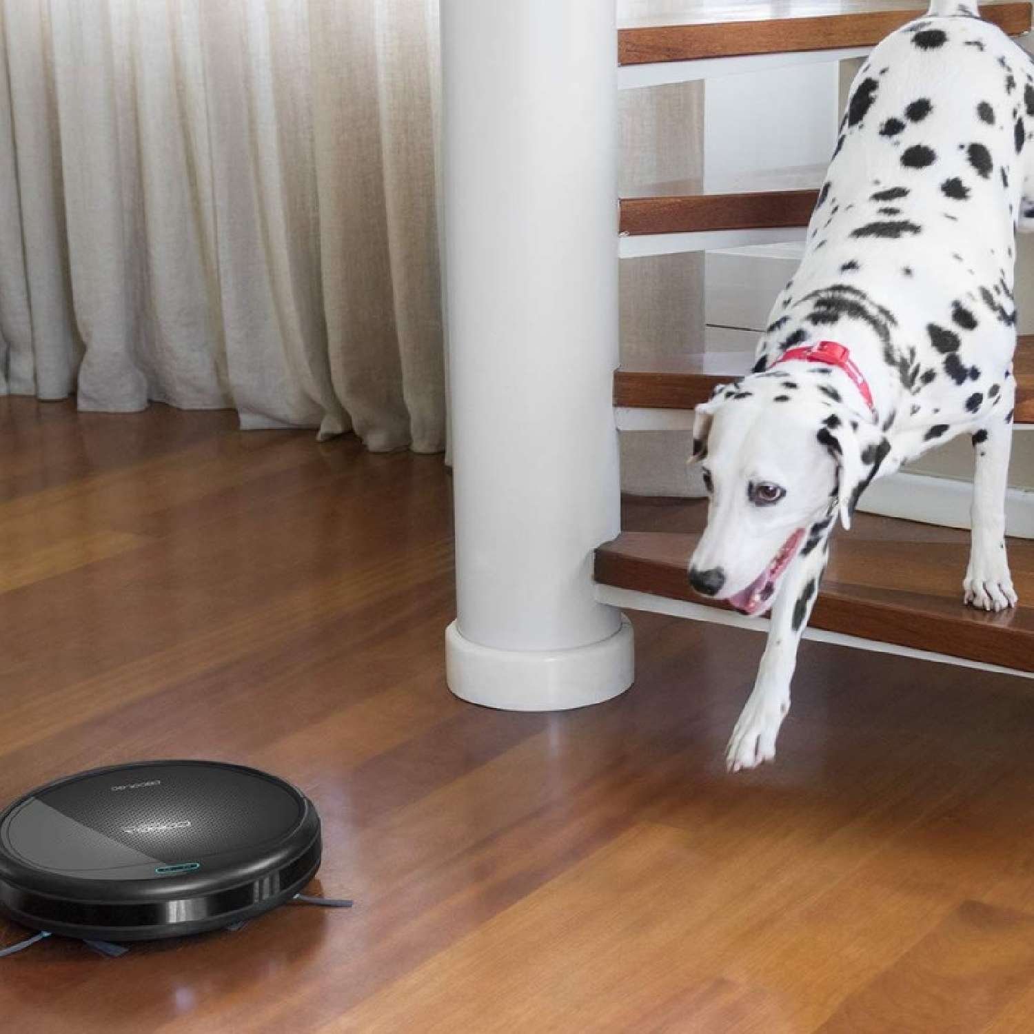 Robot Aspirador Conga Animal, Cecotec - Imagen 2