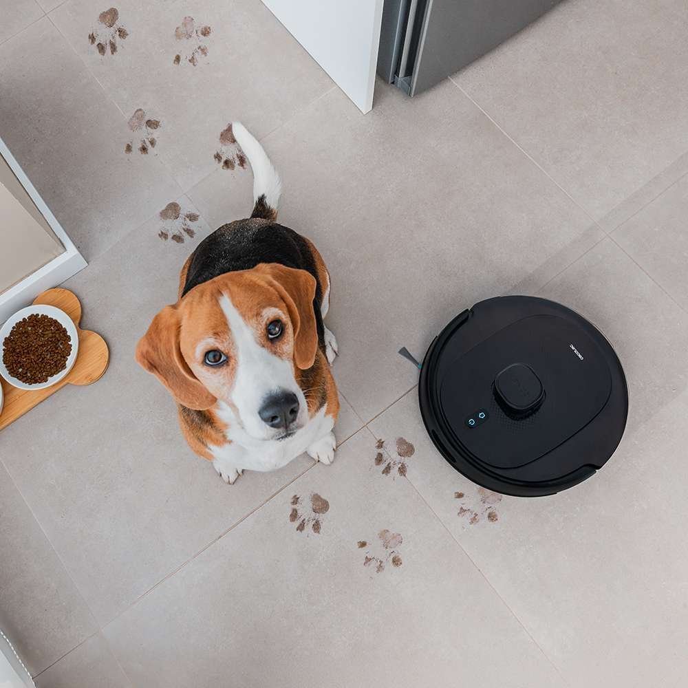 Conga 9990 AI Spin Revolution Ultra Power | Envío gratis y mejor precio garantizado – imagen 12