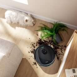 Conga Y80 | Envío gratis y mejor precio garantizado – imagen 11