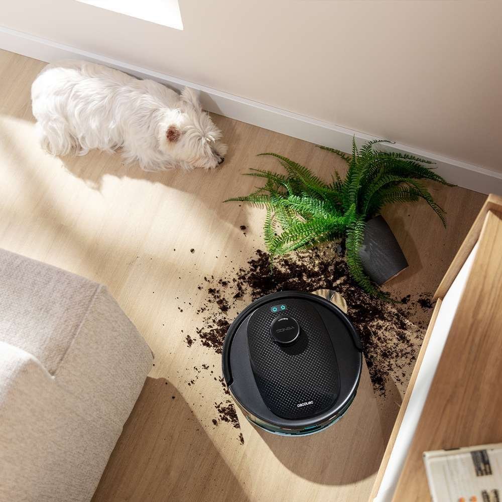 Conga Y80 | Envío gratis y mejor precio garantizado – imagen 11